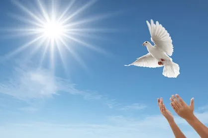 آزادی ۴۰۰ زندانی جرائم غیرعمد در البرز با کمک ستاد دیه