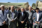 کاشانی