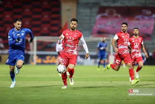 دبب