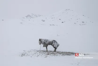 طبیعت برفی خراسان شمالی