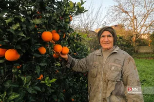 new