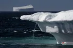 4354354