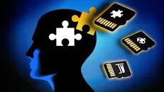 مغز چگونه عملکرد انسان را کنترل می‌کند؟
