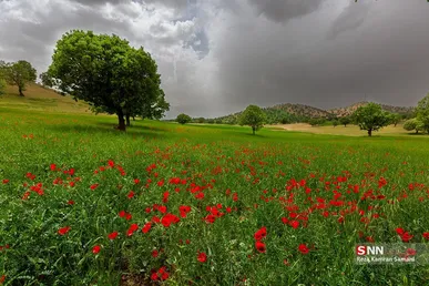 ایرانِ زیبا؛ طبیعت بهاری استان چهارمحال و بختیاری