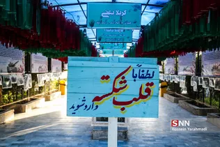 رایان