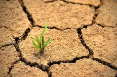 چوب لای چرخ بیابان‌زدایی استان تهران