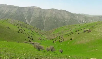 رشد ۲ میلیون هکتاری طرح&zwnj;های مرتعداری کشور تا پایان امسال