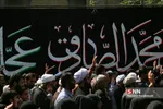 شهدا