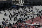 عرفه