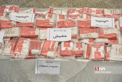 کشف ۹۰ درصد تریاک جهان در ایران