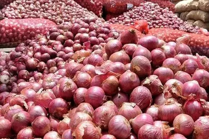 محکومیت ۲۰ میلیارد ریالی قاچاقچی پیاز