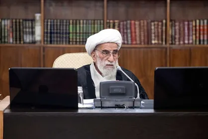 جرات نمی&zwnj;کنند به شورای نگهبان فشار بیاورند +فیلم