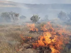 استاندار مازندران: یک هواپیمای آب‌پاش فردا به الیت اعزام خواهد شد/امکان اطفاء حریق فردا یا پس فردا + فیلم