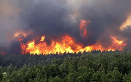 آخرین وضعیت اطفای حریق در جنگل&zwnj;های هیرکانی الیت + فیلم