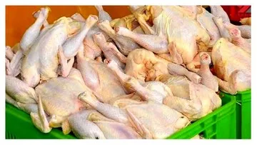 بیرحمی عجیب مافیای واردکنندگان دام و طیور / ماجرای مرغ‌های آلوده در بازار چیست؟
