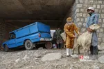 واکسن ذام