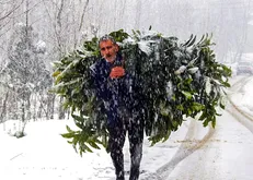 بارش برف در روستای پاشاکی گیلان