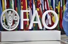 موافقت ترکمنستان با افتتاح دفتر نمایندگی فائو در این کشور