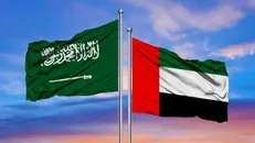 عربستان: پرونده امارات در یمن پیچیده شد