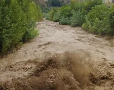 بارش‌های رگباری در شرق گلستان موجب آبگرفتی و سیلاب شد+ فیلم