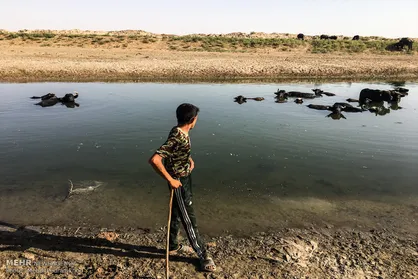 حال هورالعظیم اندکی بهتر شد