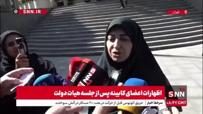 انصاری در پاسخ به SNNTV: موضوع دریاچه ارومیه با اولویت در دستورکار قرار دارد