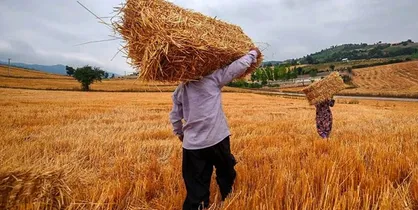 حاجی میرزایی: ۷۰ درصد کشاورزان کم سواد یا بی&zwnj;سوادند