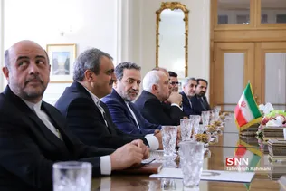 دیدار ظریف با وزیر امور خارجه ژاپن