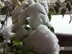 نخستین برف زمستانی بیرجند، شور و نشاط را به کوچه‌ها و امید به مزارع آورد+ فیلم