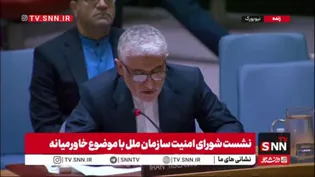 ایروانی: کشورهایی که خاک خود را به متجاوزان دادند، شریک جرم آمریکا و رژیم صهیونیستی هستند