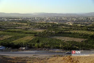 تخریب باغات