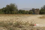 تخریب باغات