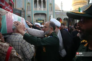 دبب