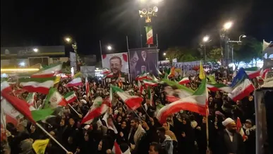 دیار باب‌الرضا در شام ولادت علی‌بن‌موسی‌الرضا خوش درخشید+فیلم