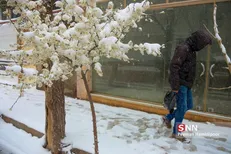 هواشناسی| 
بارش برف و باران در اکثر مناطق کشور آغاز شد