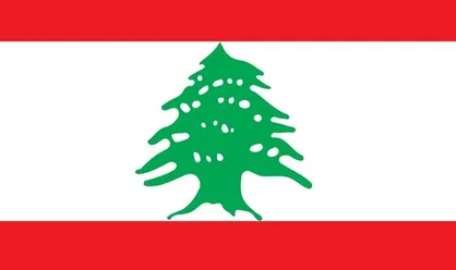 جنایات صهیونیست&zwnj;ها بدون سکوت کشور&zwnj;های عربی ممکن نبود