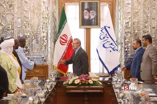 دیدار علی لاریجانی با نایب رئیس مجلس نیجریه