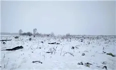کشته شدن ۷۱ سرنشین هواپیمای مسافربری روس