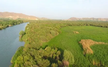 مهار ۲ آتش سوزی در منطقه حفاظت شده تالاب نوروزلو