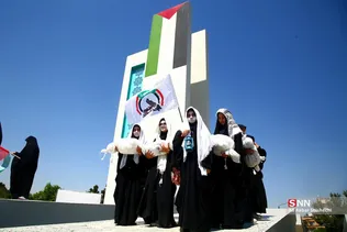 دبب