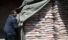 برنج‌های احتکار شده زیر ذره‌بین سازمان جهاد کشاورزی مازندران