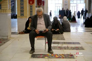 دبب