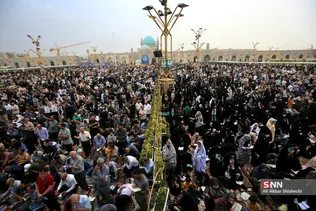 دبب