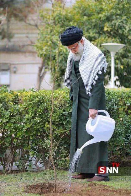 امروز ۹ صبح؛ ایران نهال می&zwnj;کارد/ دعوت برای حضور در پویش &laquo;به یاد سرو، به نام ایران&raquo;