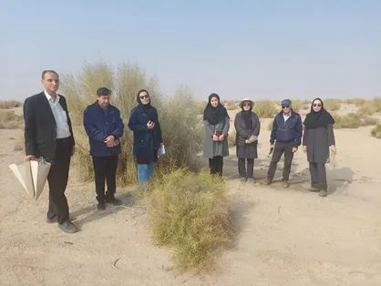 ۵۰ هزار هکتار از تاغ&zwnj;زارهای استان سمنان به آفت مبتلا شدند