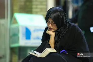 دبب