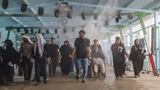 تردد بیش از ۲۹ هزار زائر از مرز مهران در ایام نیمه شعبان