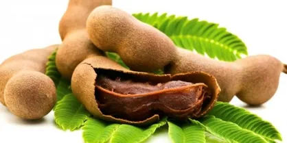 با خواص شگفت&zwnj;انگیز تمر هندی آشنا شوید