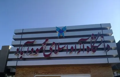 طراحی نرم&zwnj;افزار تشخیص بیماری&zwnj;های طیور در دانشگاه آزاد محمودآباد/ برای مجموعه ورزشی رو باز به دنبال سرمایه&zwnj;گذار هستیم