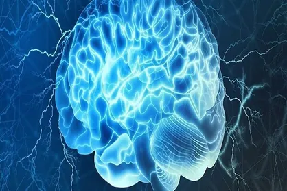 گفتاردرمانی ساختار مغز را تغییر می&zwnj;دهد